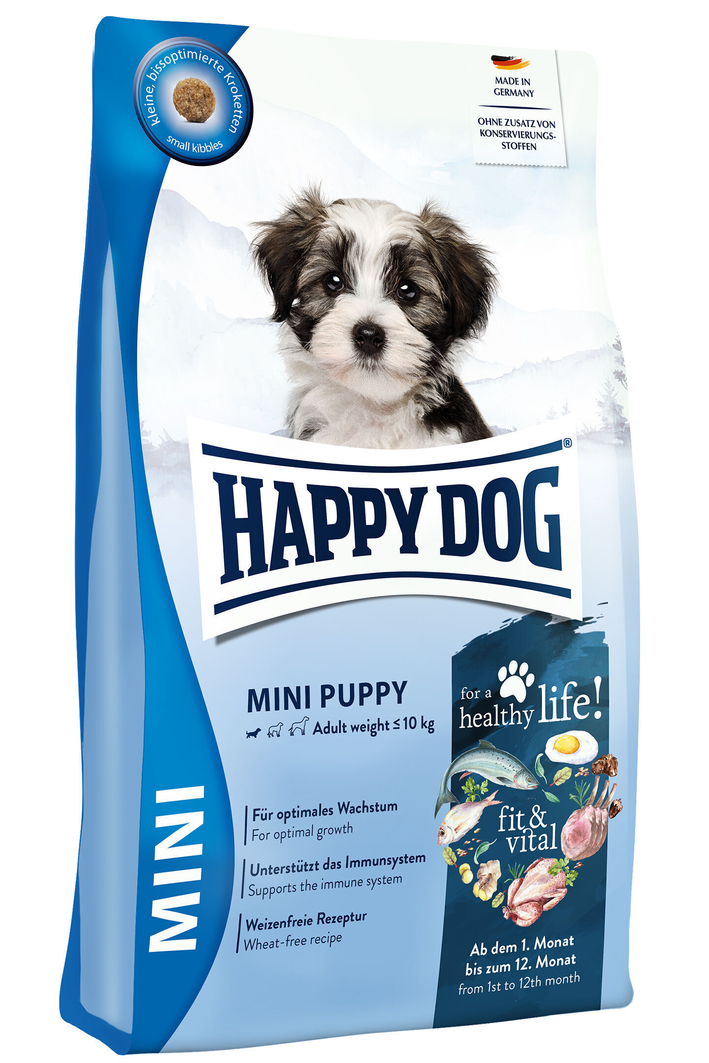 Happy dog mini chiot